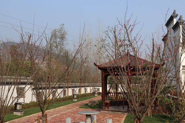 1585729945617181.jpg 海創春園.JPG